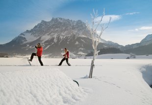 c_zugspitz_arena_tirol_winterwandern.jpg