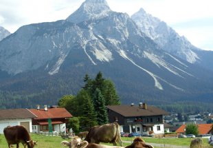 0001__c_-foto-somweber_1.jpg 0001__c_-foto-somweber_1.jpg