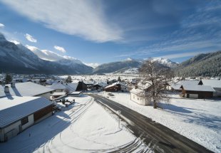 _dsc0933.jpg _dsc0933.jpg